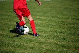 爱游戏在线娱乐官网-球队管理:现代俱乐部的组织架构变化,足球俱乐部组织